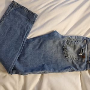 Joe Jeans Size 28 Distressed Blue Denim Womens